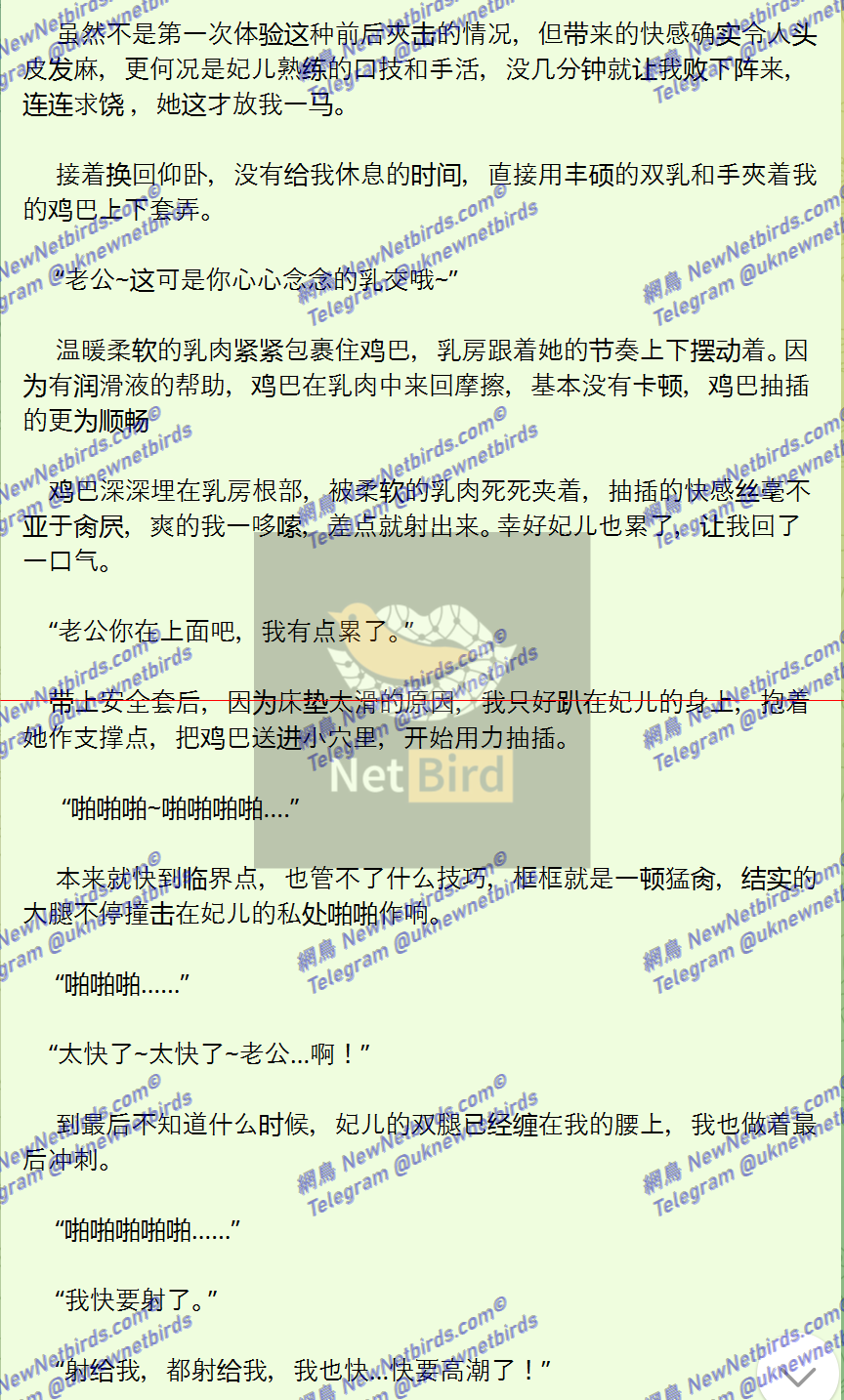 戰號 537 8.png